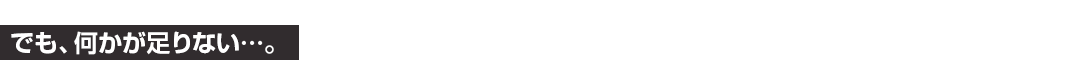 でも、何かが足りない…。